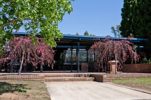 Peacock Gallery and Auburn Arts Studio