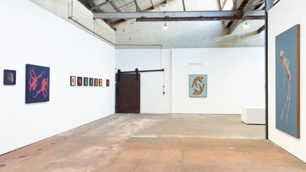 Boom Gallery