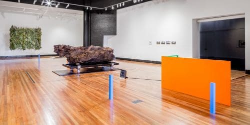 Latrobe Regional Gallery (LRG)