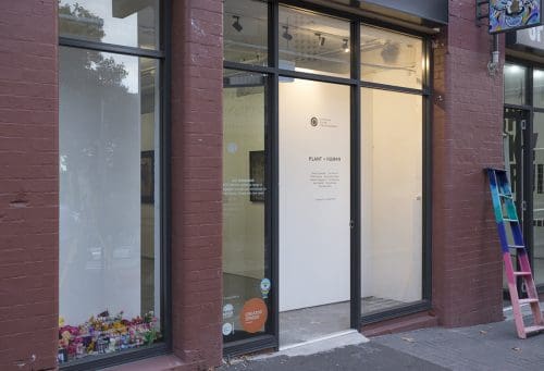 Australian Centre for Photography (ACP)