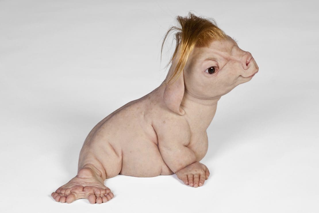 Patricia Piccinini — Art Guide Australia