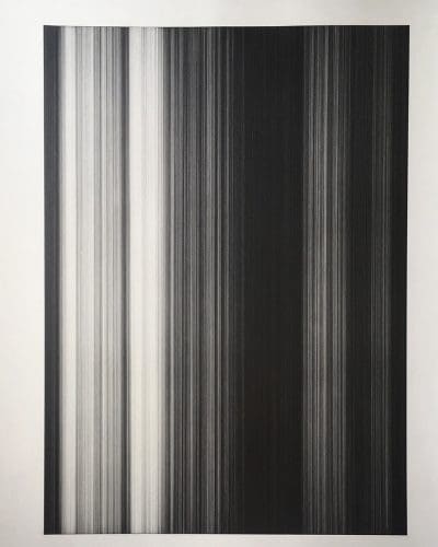 <strong>Ceara Metlikovec</strong><strong> wins 2018 Adelaide Perry Prize for Drawing </strong>