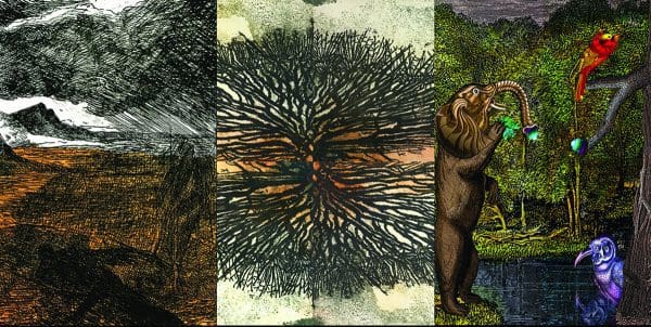 Three Tasmanian printmakers in <i>Push, Pull, Press</i>