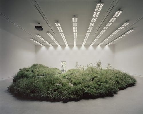 Linda Tegg discusses the Venice Architecture Biennale 2018