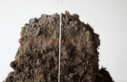 Robert Andrew uses kinetic presence to evoke cultural change