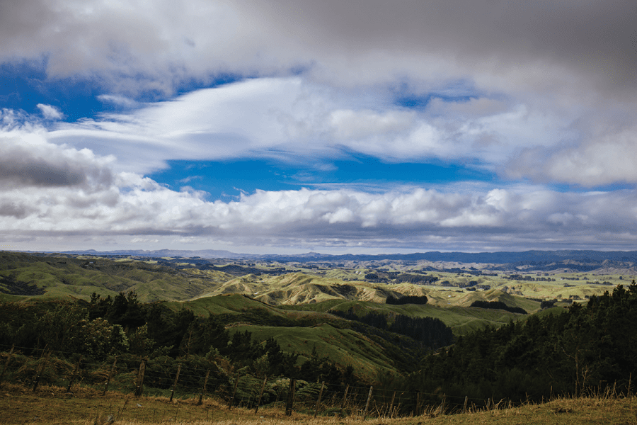 <em>Act-Belong-Commit PhotoVoice Muswellbrook</em>