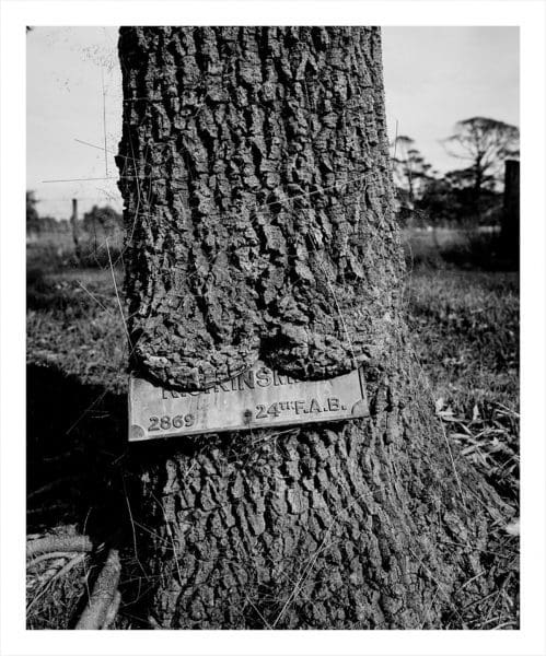 <em>Trent Parke: Avenue Of Honour</em>