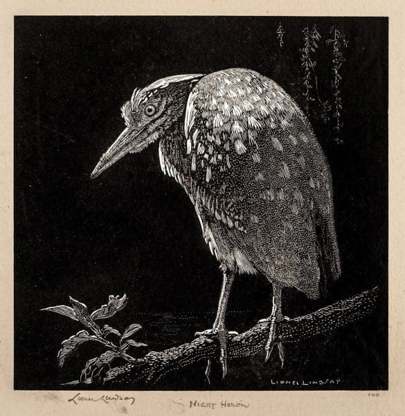 <em>Darkness Within: Weird and eerie works </em><em>from the Collections</em>
