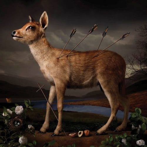 Animal in Art: The Collection
