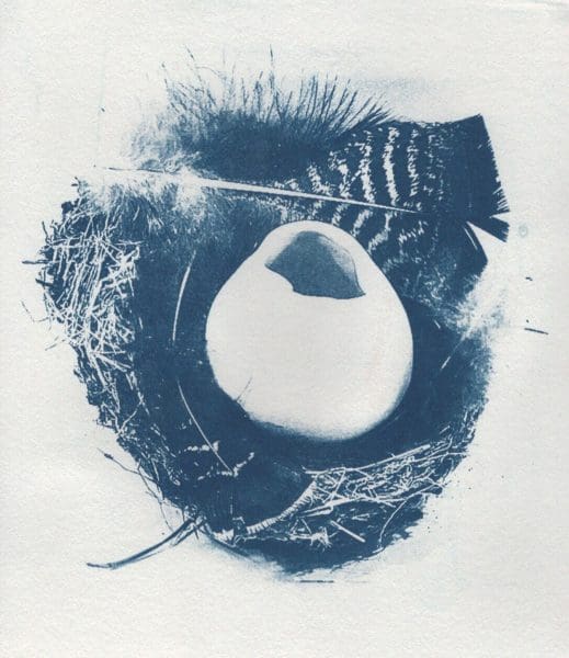 <em>VAMP Collective: NEST</em>