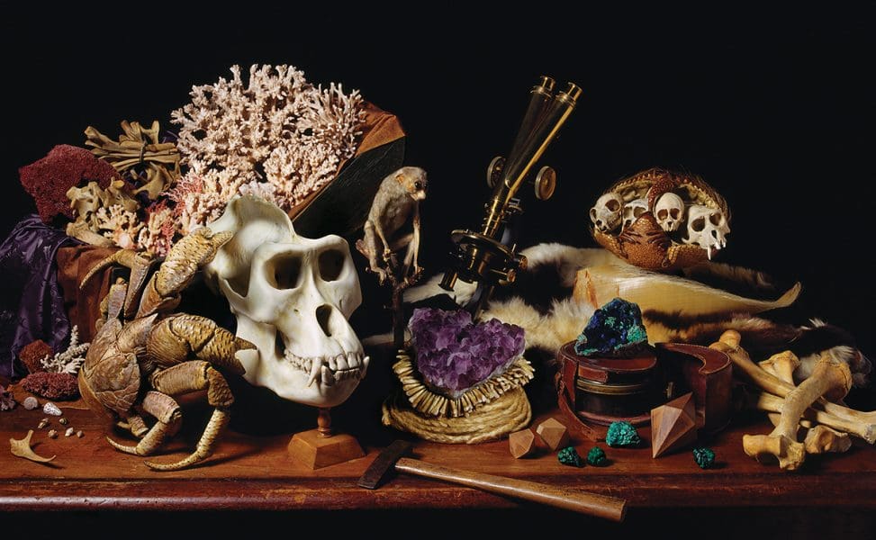 <em>Robyn Stacey: As still as life</em>
