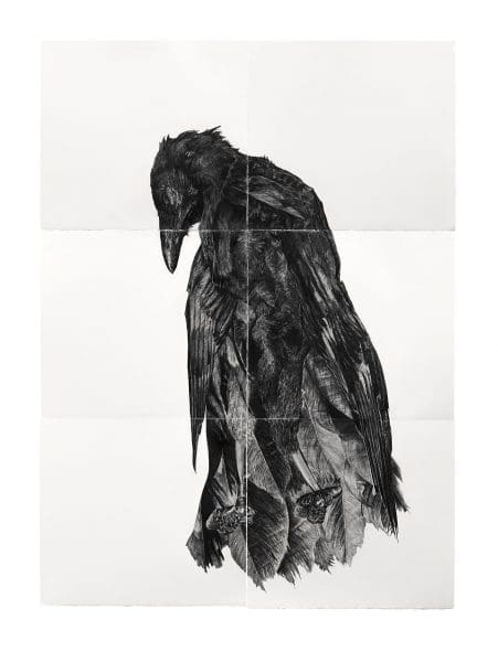 <em>Pretty Bird</em>
