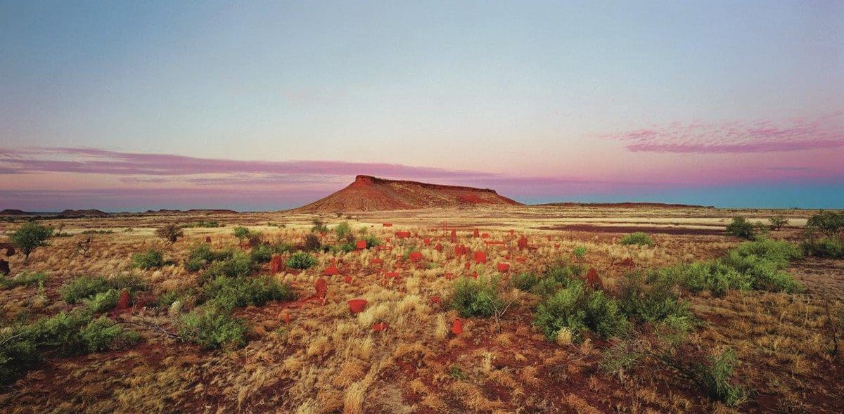 <em>MCA Collection: Perspectives on place</em>