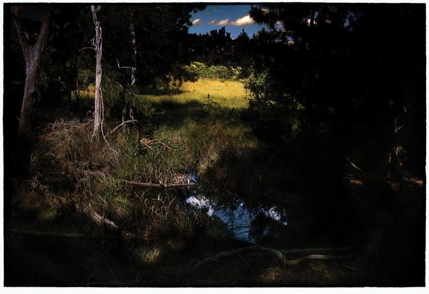 <em>Bill Henson: The light fades but the </em><em>gods remain</em>
