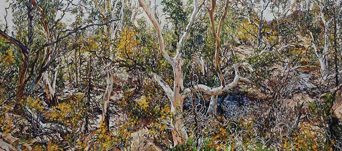 <em>Tree of Life: a testament of endurance</em>