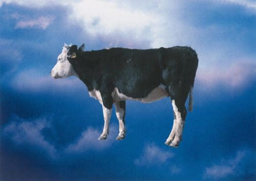 Big Weather