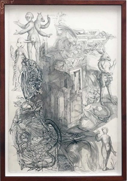 <i>Collection leads: Zilverster (Goodwin & Hanenbergh)—Amator</i>