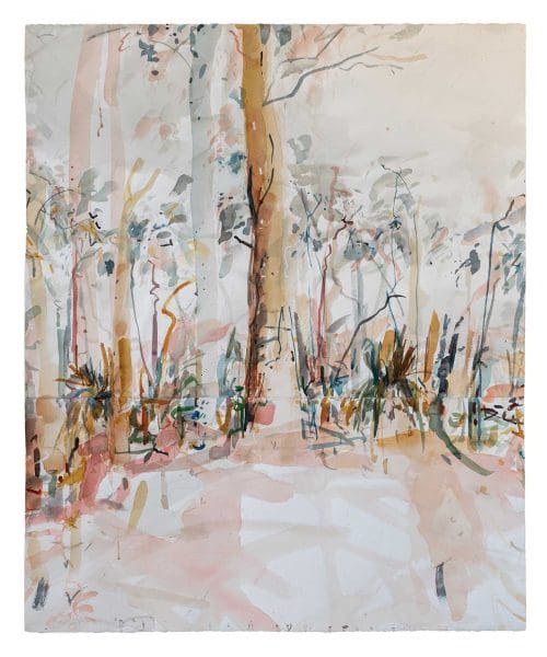 <i>Wandoo</i>