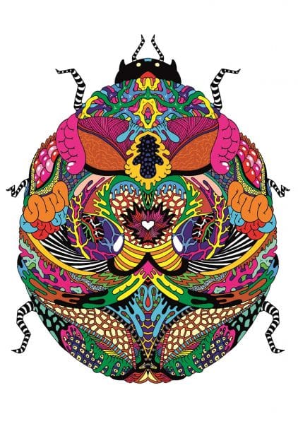 <i>Facets</i>