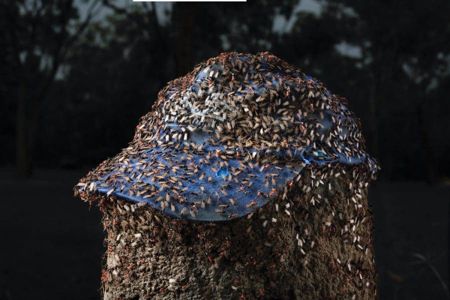 <i>The Fineman New Photography Award</i>