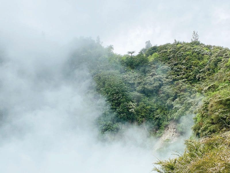 <i>We Are Nature</i>