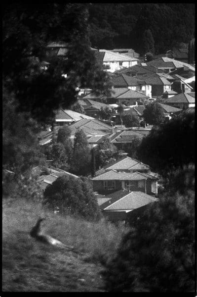 <i>Meanwhile in the Suburbs</i>