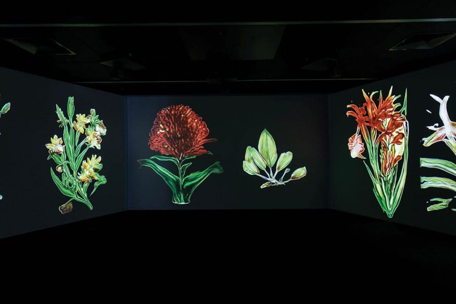 Bloom Lab