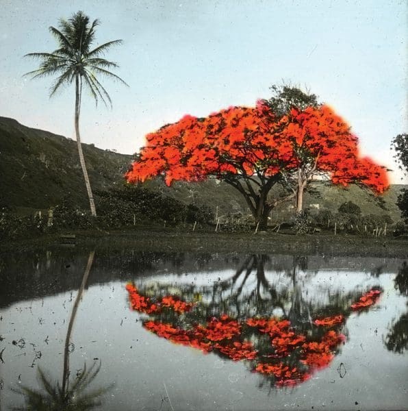 <em>Pacific Views</em>