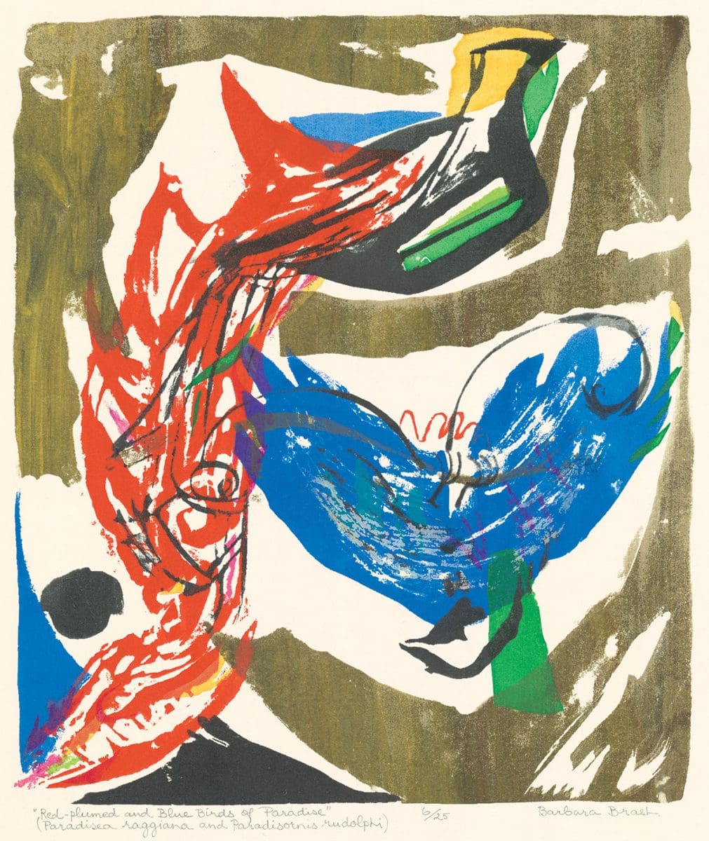 <i>Barbara Brash—holding form</i>