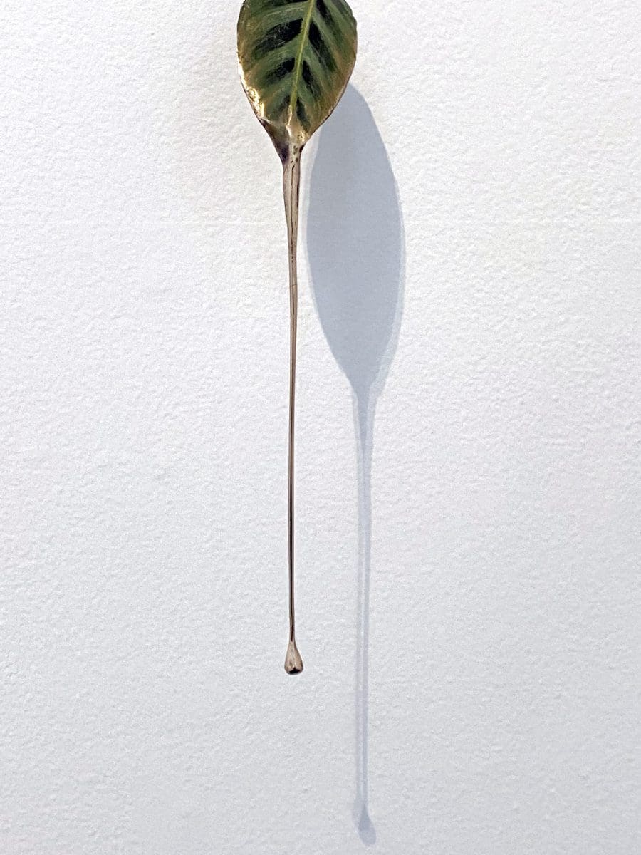 <i>Domestic</i>