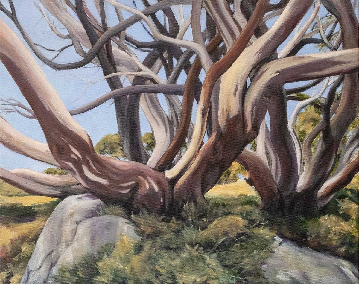 <em>In Rhythym with Nature</em>
