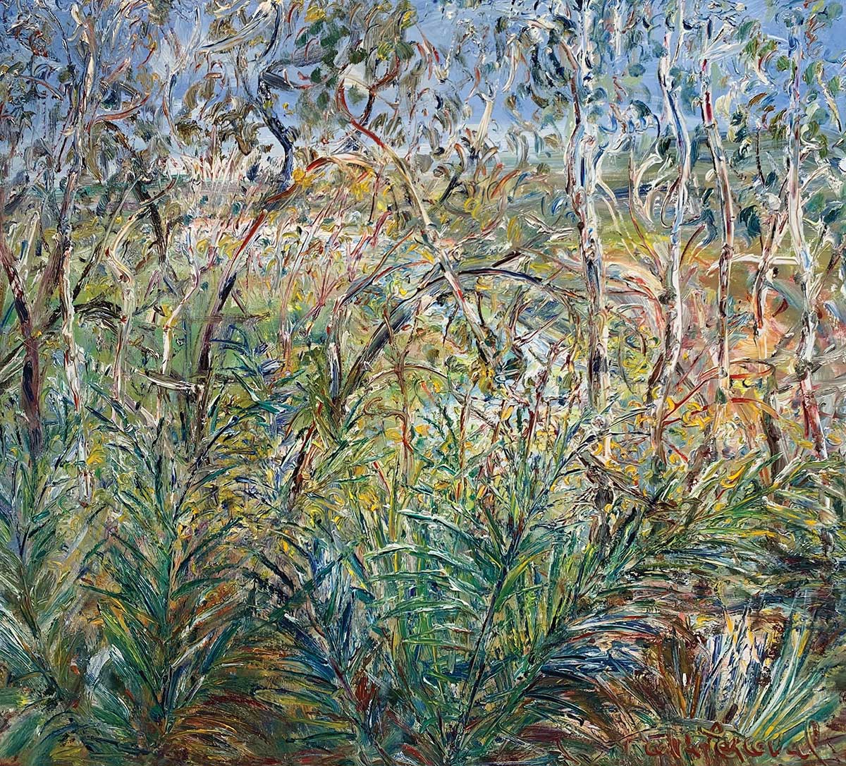 <em>Vistas</em>