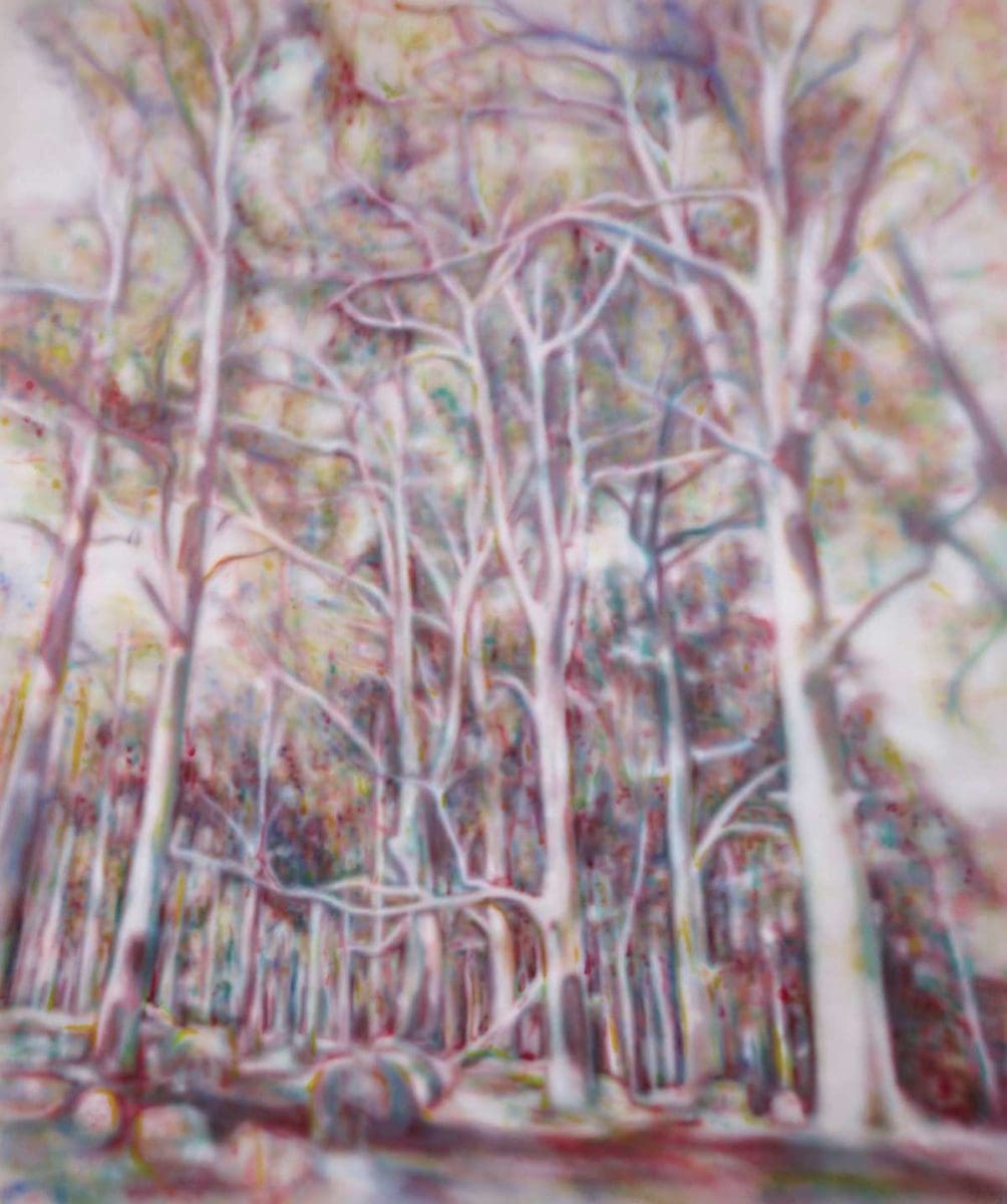 <em>Destination Sydney: The natural world</em>