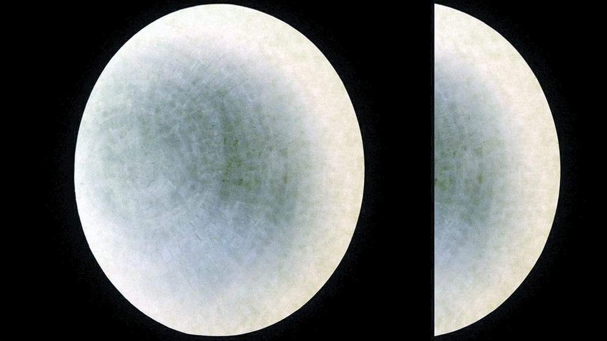 <em>Full Circle</em>