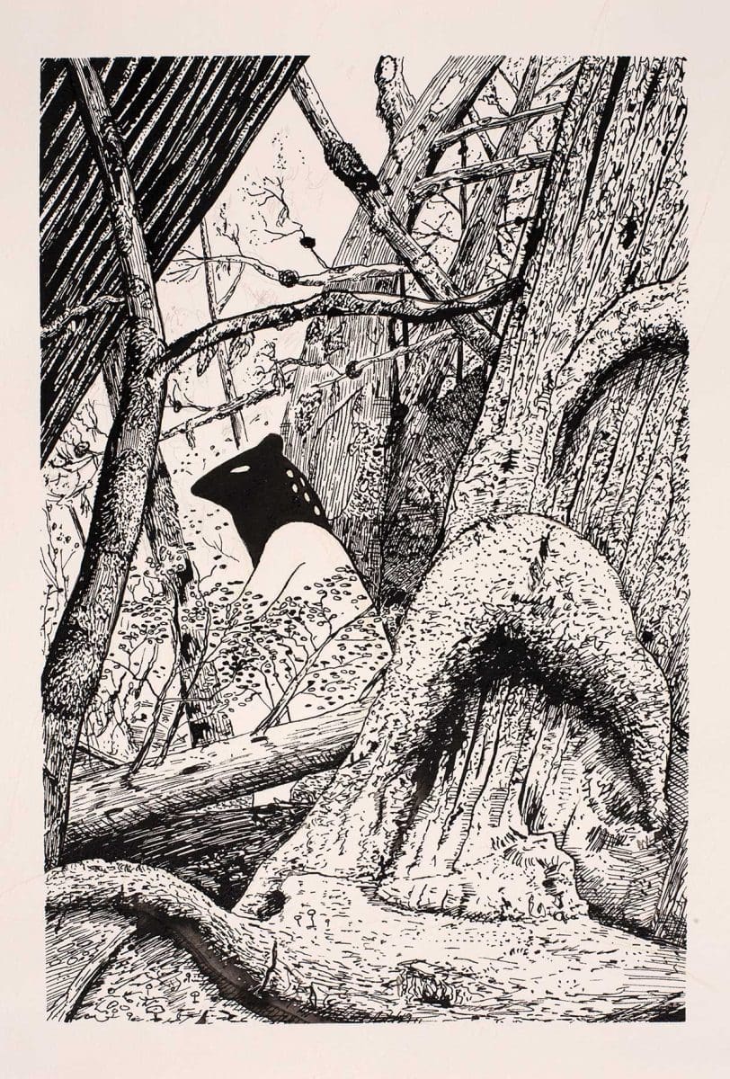 <em>The Quoll</em>