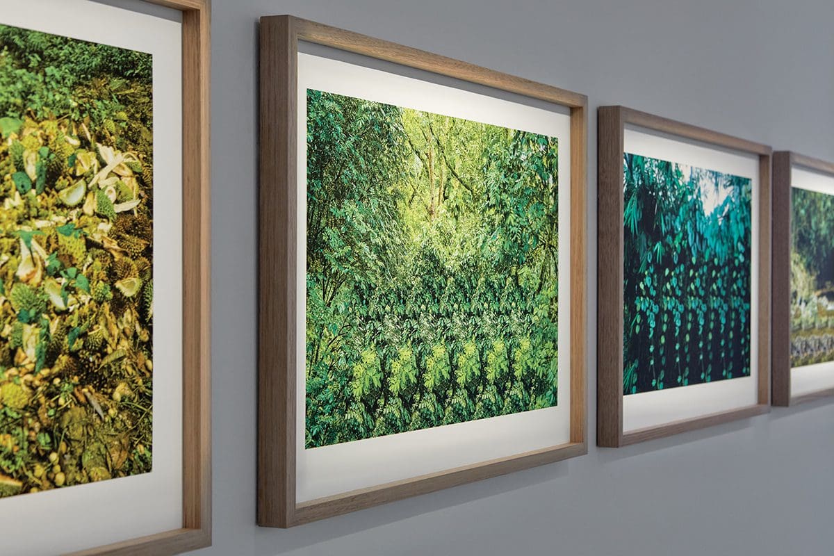 <em>National Photography Prize 2022</em>