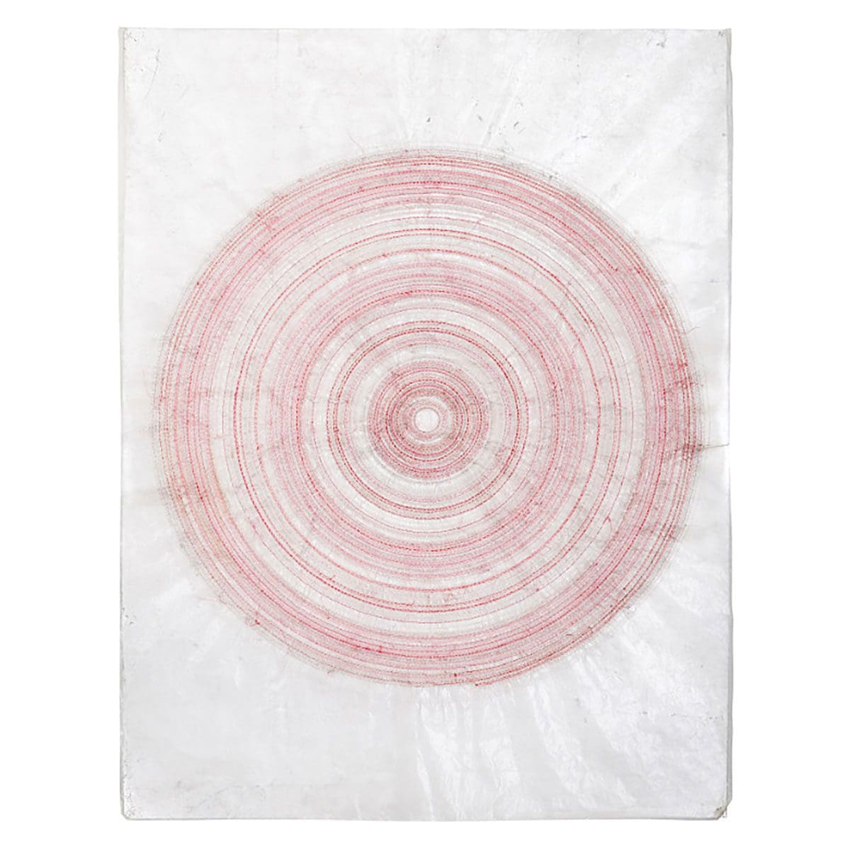 <i>Collection+</i>
