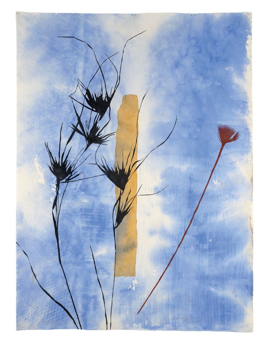 <i>Looking Glass: Judy Watson and Yhonnie Scarce</i>