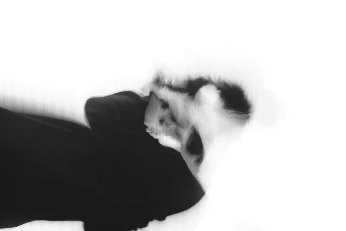 <i>VENTRE</i>