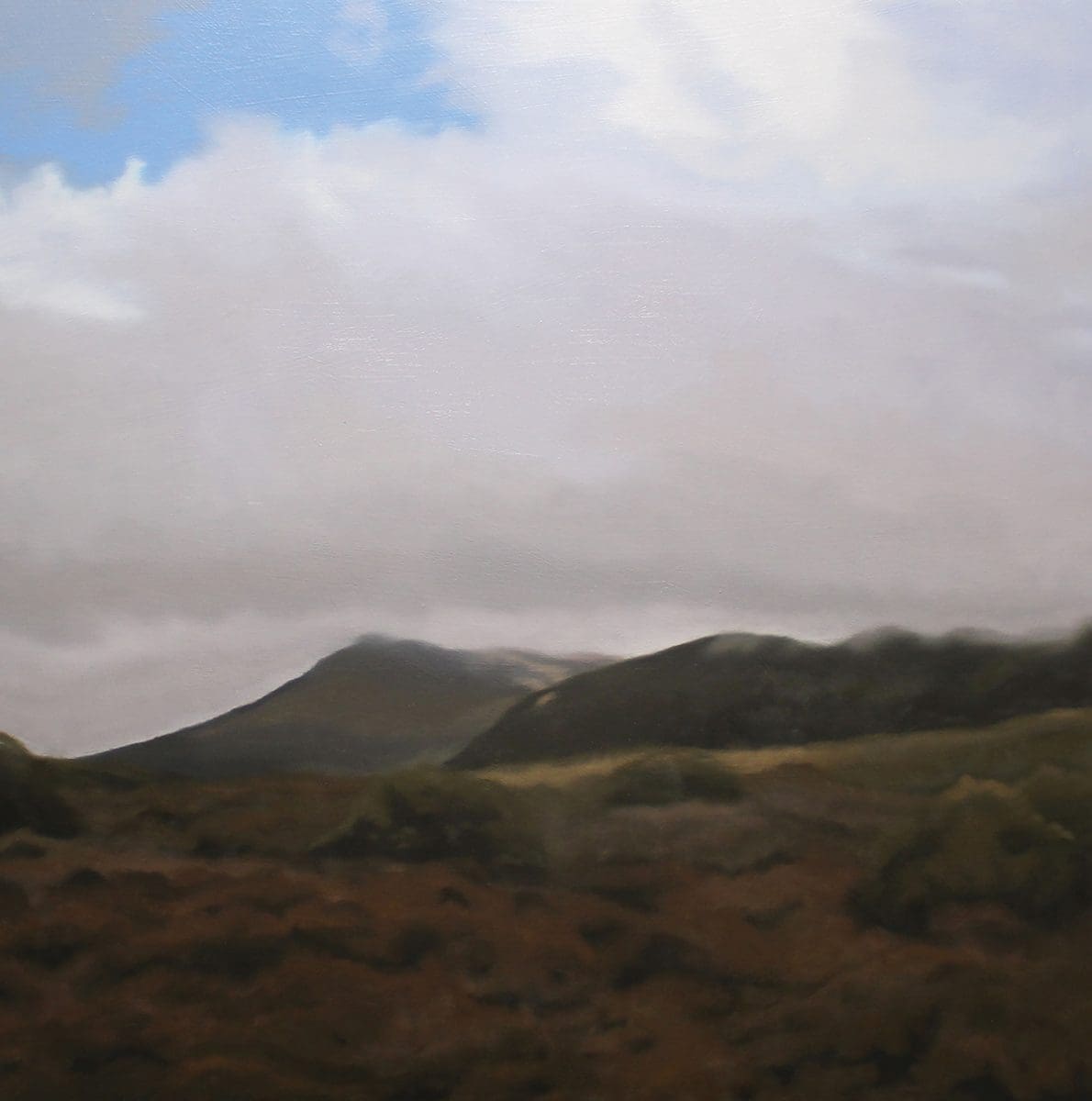 <em>Seeing the Landscape</em>