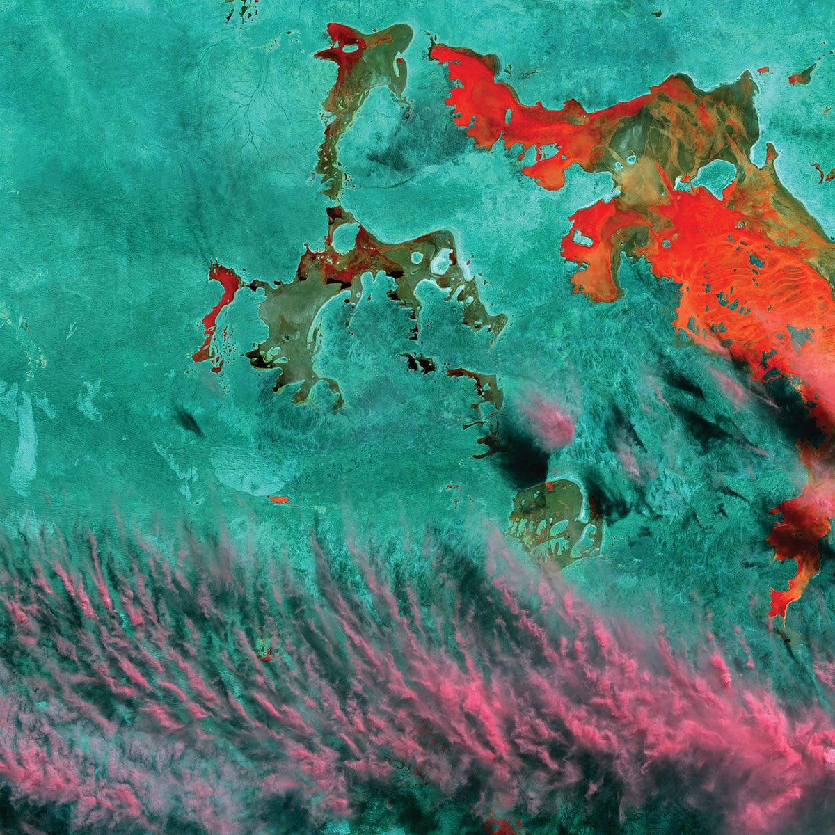 <em>Waterhouse Natural Science Art Prize </em><em>2022</em>
