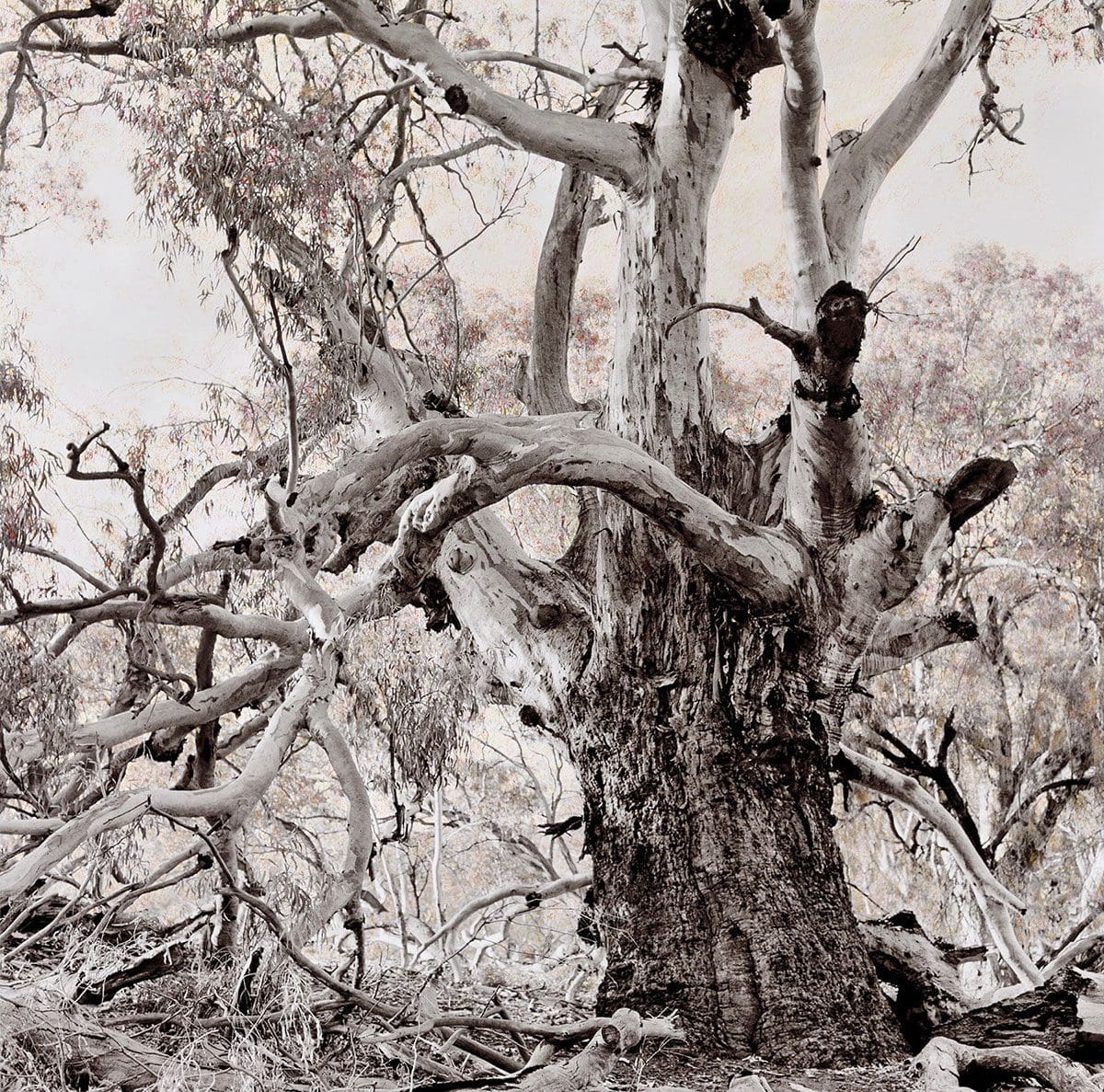 <em>Return to nature</em>