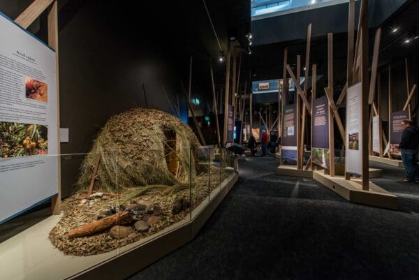 The First Tasmanians: our story