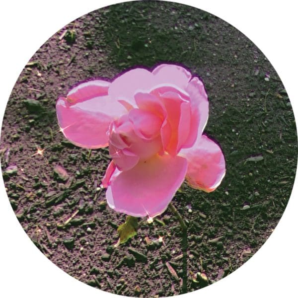<em>New Work</em>