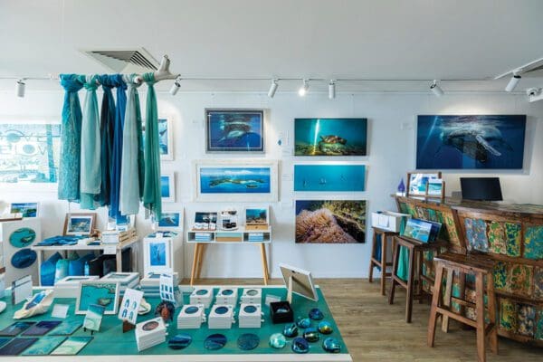 Above and Below Gallery