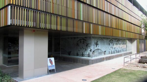 UQ Anthropology Museum