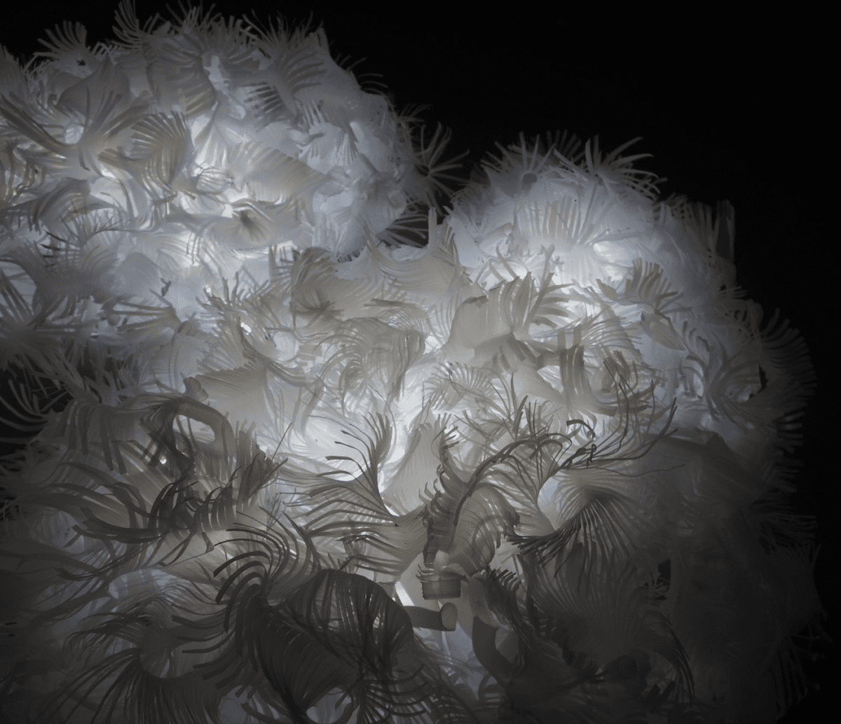 <em>Shiver</em>