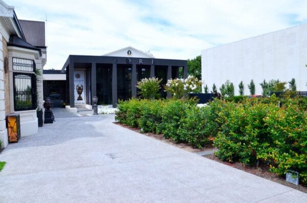 The David Roche Foundation