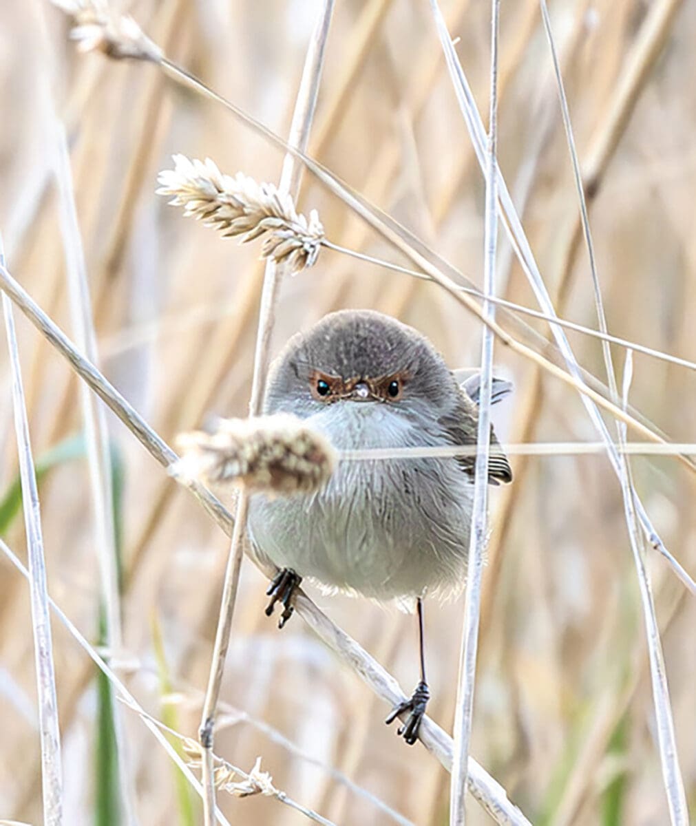 Wildlife Photography Exhibition