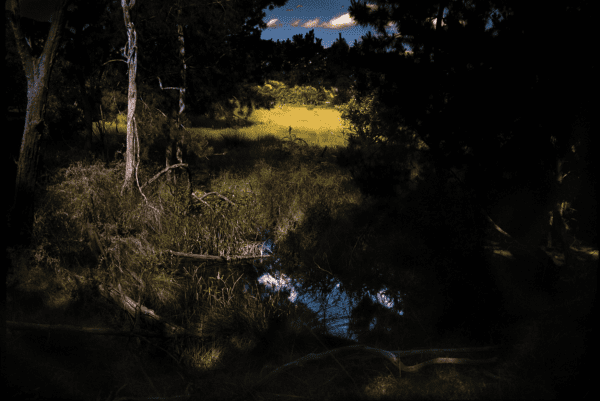 The light fades but the gods remain: Bill Henson